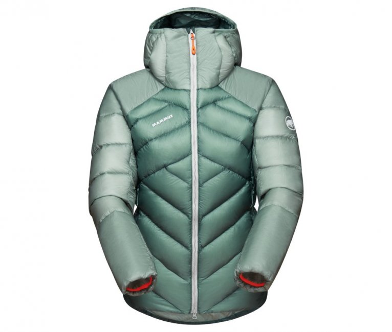 Mammut Taiss IN