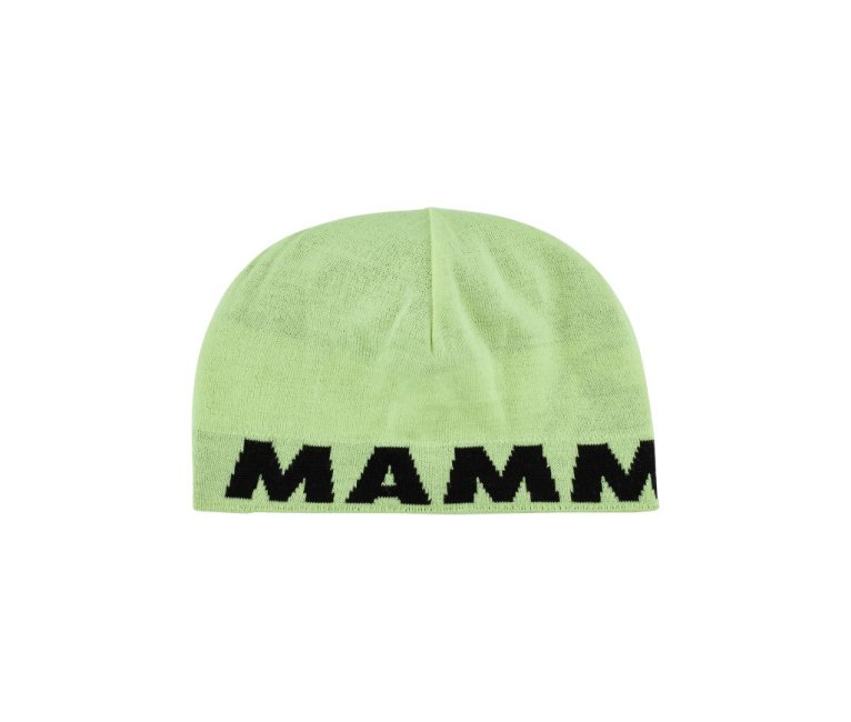 Mammut Logo Beanie
