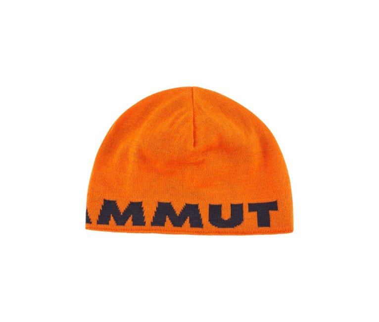 Mammut Logo Beanie