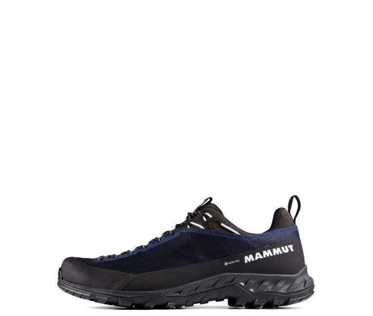Mammut Alnasca IV Low GTX - Marine White