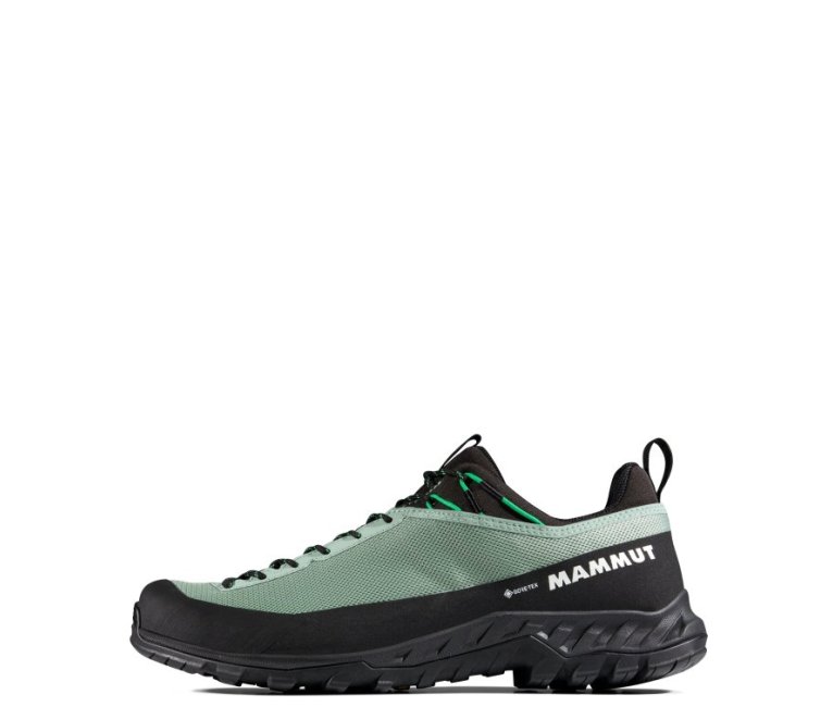  Mammut Alnasca IV Low GTX - Marine White