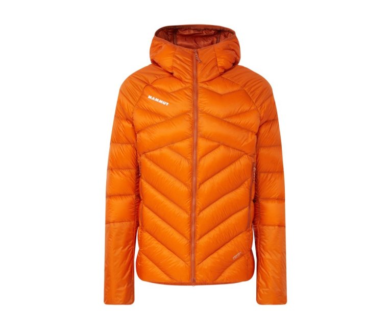 Mammut Taiss IN Hooded D&uacute;n&uacute;lpa - Autum Larice