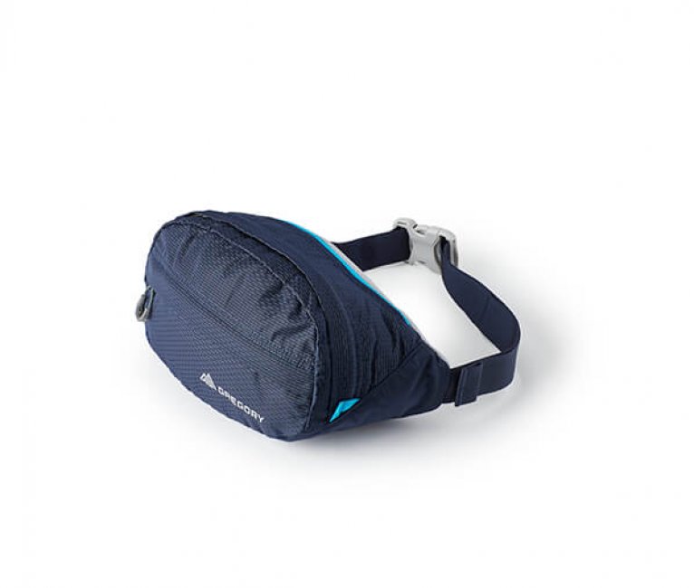 Gregory Nano Waistpack