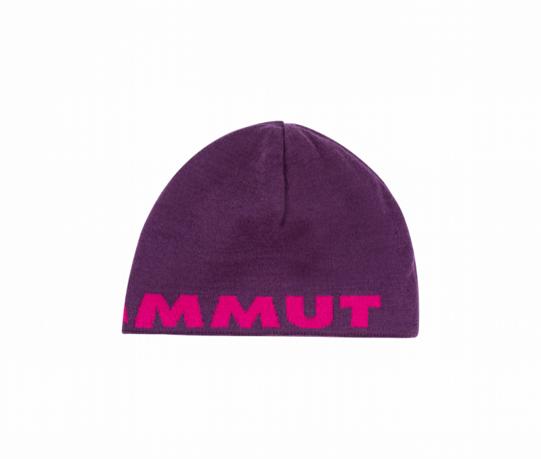 Mammut Logo Beanie