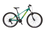 Head Ridott 1.0 26
