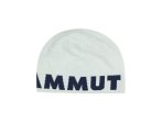 Mammut Logo Beanie eiger Silver Sage-marine