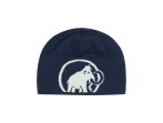 Mammut Logo Beanie eiger Silver Sage-marine