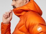Mammut Taiss IN Hooded Dúnúlpa - Autum Larice