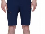 Mammut Runbold Shorts