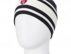 Swix Tradition Light